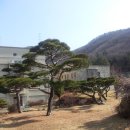 형주병원