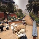 군산테디베어뮤지엄 이미지