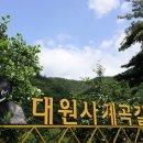 대원사계곡 이미지