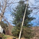영원사 - 817 | “영원사 주차하고 바로 등산! 경기도 숨은 명산 원적산 솔직후기”