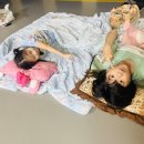 경희대무궁화태권도장 이미지