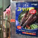 포항오거리막회