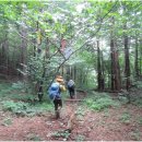 제창농장 이미지