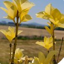 블록체인 NFT 파헤치기 이미지