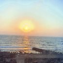 씨앤힐스파팬션 | 제주도여행 2박3일 - 학교언니랑 코코마마/우도/하갈비국수 제주여행 후기일정