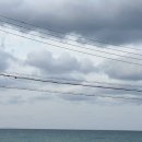 세화 엘라 이미지