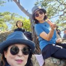 준식농장 이미지