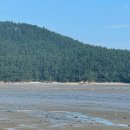 오투펜션 이미지