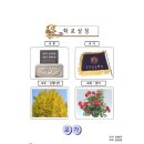 궁남초등학교 이미지