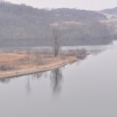 까망콩두부 이미지