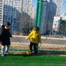 임호체육공원 이미지