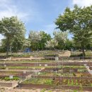 창일농장 이미지