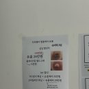 야리1길 네이버블로그