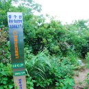 천천면사무소~천천삼거리 | 금남호남정맥 제3구간 1 : 신광치 ~ 성수산 ~ 30번 국도 ~ 마이산 ~ 봉두봉 ~ 강정골재(활인동치)