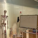 [8주과정]필라테스 요가 이미지