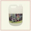 체리쉬퍼피 이미지