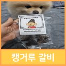 댕금님표 수제간식 이미지