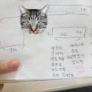 성일광고 - 양천구 지양로 96 | 성일광고