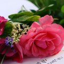 남자의 사랑과 생애 이미지