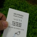 금난의집