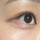 포인트무드 | 대전 속눈썹펌 라무드 led펌포인트연장 대만족 후기
