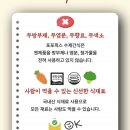 포포픽스 이미지