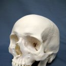 나란이치과의원 이미지