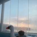 스테이 인 웜아이스 이미지