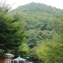좌구산자연휴양림 이미지