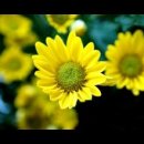 구월우체국 이미지