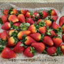 (주)원데이푸드