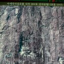 동래정씨 약사불 이미지