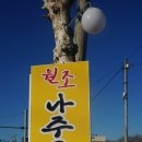 원조나주곰탕50년 이미지