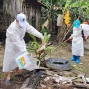 형제조류 이미지