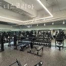 피트니스 코리아 이미지