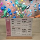 [잠실새내]서울숲 클라이밍 잠실점 아싸 혼자 다녀오는 후기