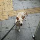 박순복동물병원 이미지