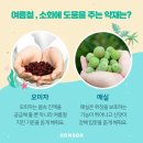 수원영통함소아한의원 이미지