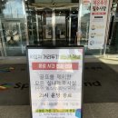 수원 스포츠아일랜드 수영장 프리다이빙 후기