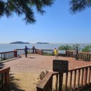 쌍용부광약국 이미지