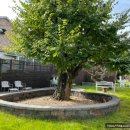 마평4통 이미지