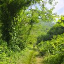 추산다람쥐마을 | 🌄등산일지#56. 날것의 맛(?) 보은 구병산 적암리 코스 등산후기(오스프리 10피크 챌린지)