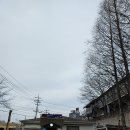 굴다리보신탕 네이버블로그