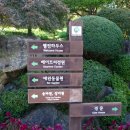 베어트리파크수목원 이미지