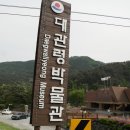 대관령 치유의 숲 이미지