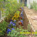 효성지구대 이미지