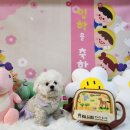 워니시티 이미지