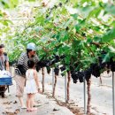 민영이네 이미지