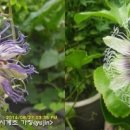 수정-124 이미지