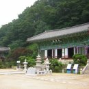 광덕사 일대 이미지